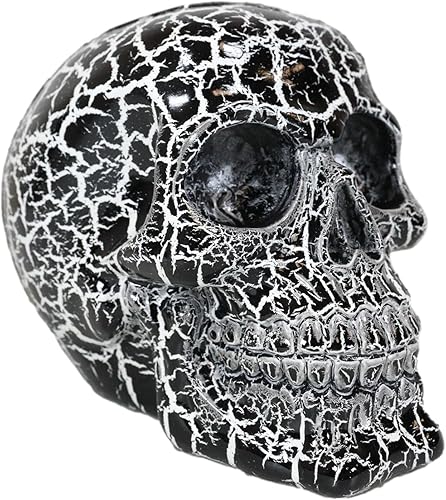 Miniatura 5 de Ebros Gift Dios del rayo Thunder Bolt Punk Rock - Figura decorativa de calavera negra como accesorio decorativo de Halloween, esqueleto gótico