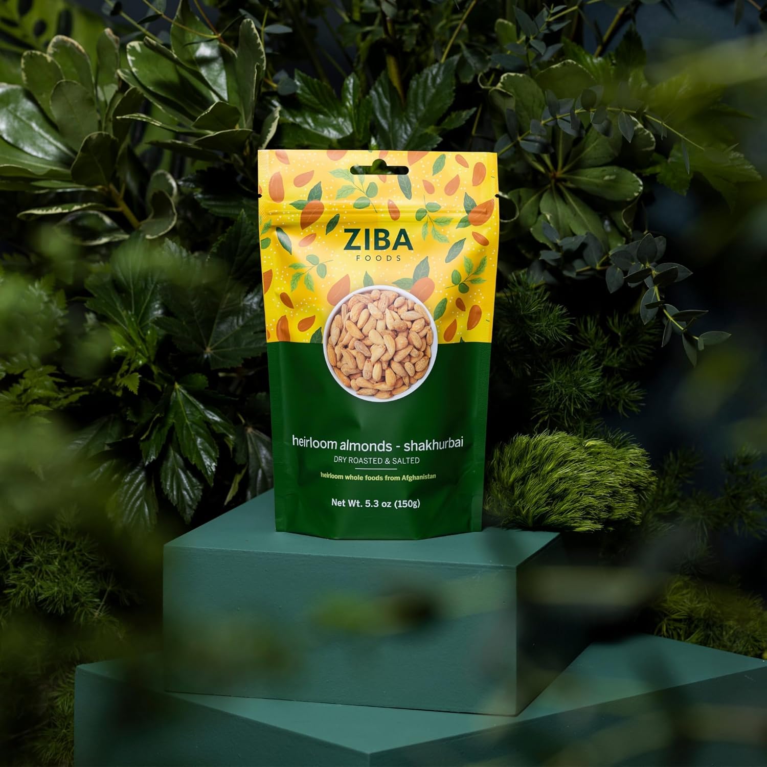 Ziba Foods Heirloom Shakhurbai Almonds | Salted & Dry Roasted Almonds | Non-GMO, Vegan, Gluten Free Whole Almond Nuts | Heirloom, Warm & Nutty | Healthy, Delicious Almond Snacks, Pack of 6