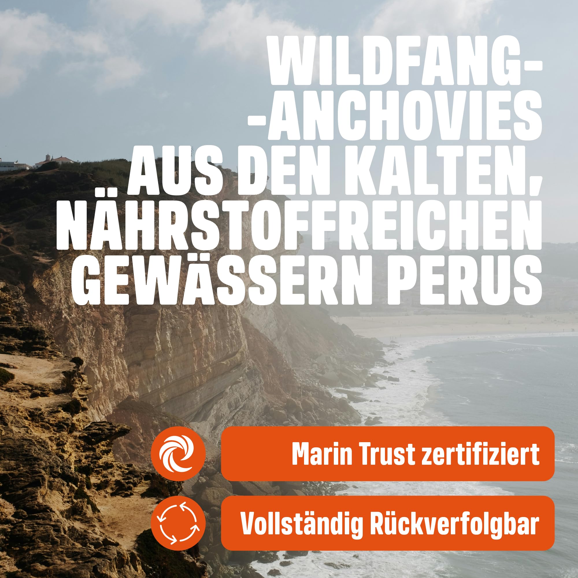 Peruanisches Anchovy-Öl für Hunde & Katzen – 3× stärker als Lachsöl – Omega-3 Omega-6 Fischöl für Haut, Gelenke, Herz & Immunsystem – Dreifach gefiltert – Marin Trust Zertifiziert – 250ml