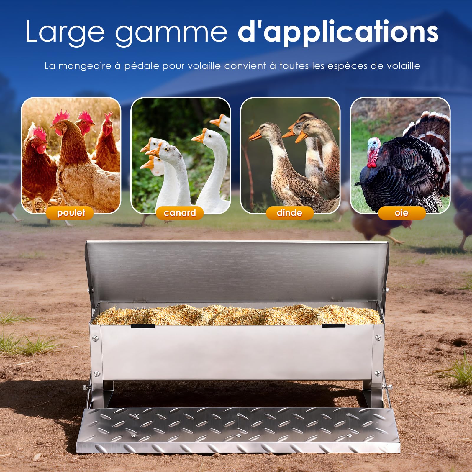 Mangeoire Poules Anti Nuisible, Mangeoire à Poulets Automatique Avec Couvercle Anti-Pluie - Capacité 5kg,Distributeur Graines Poules Exterieur,Pour Faisans,Dindes,Canards,Oies Et Autres Volailles