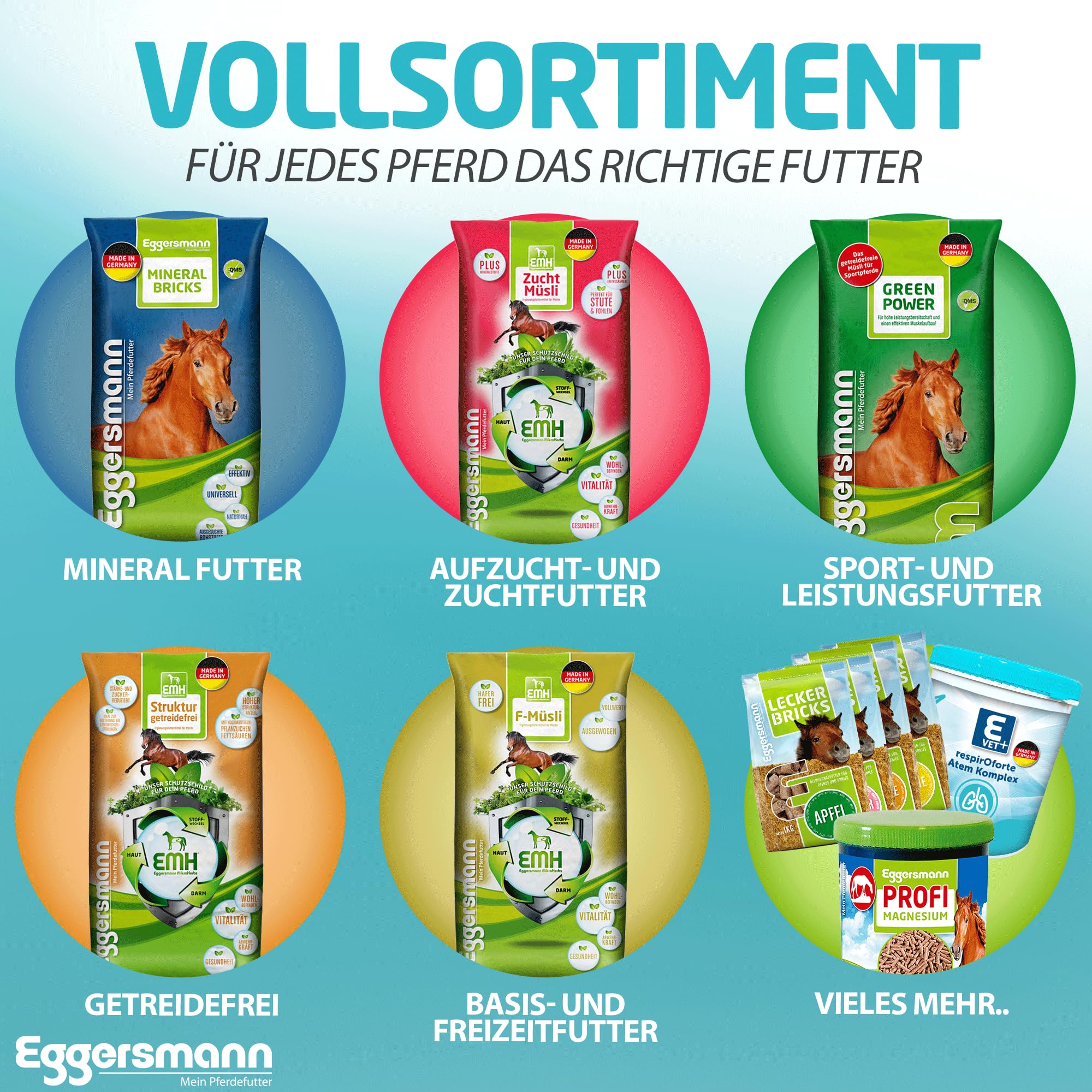 Eggersmann Mein Pferdefutter E-Vet respirOforte 1 kg | Ergänzungsfuttermittel für Pferde mit Atemwegsproblemen - Pferdefutter mit schleimlösenden Kräutern