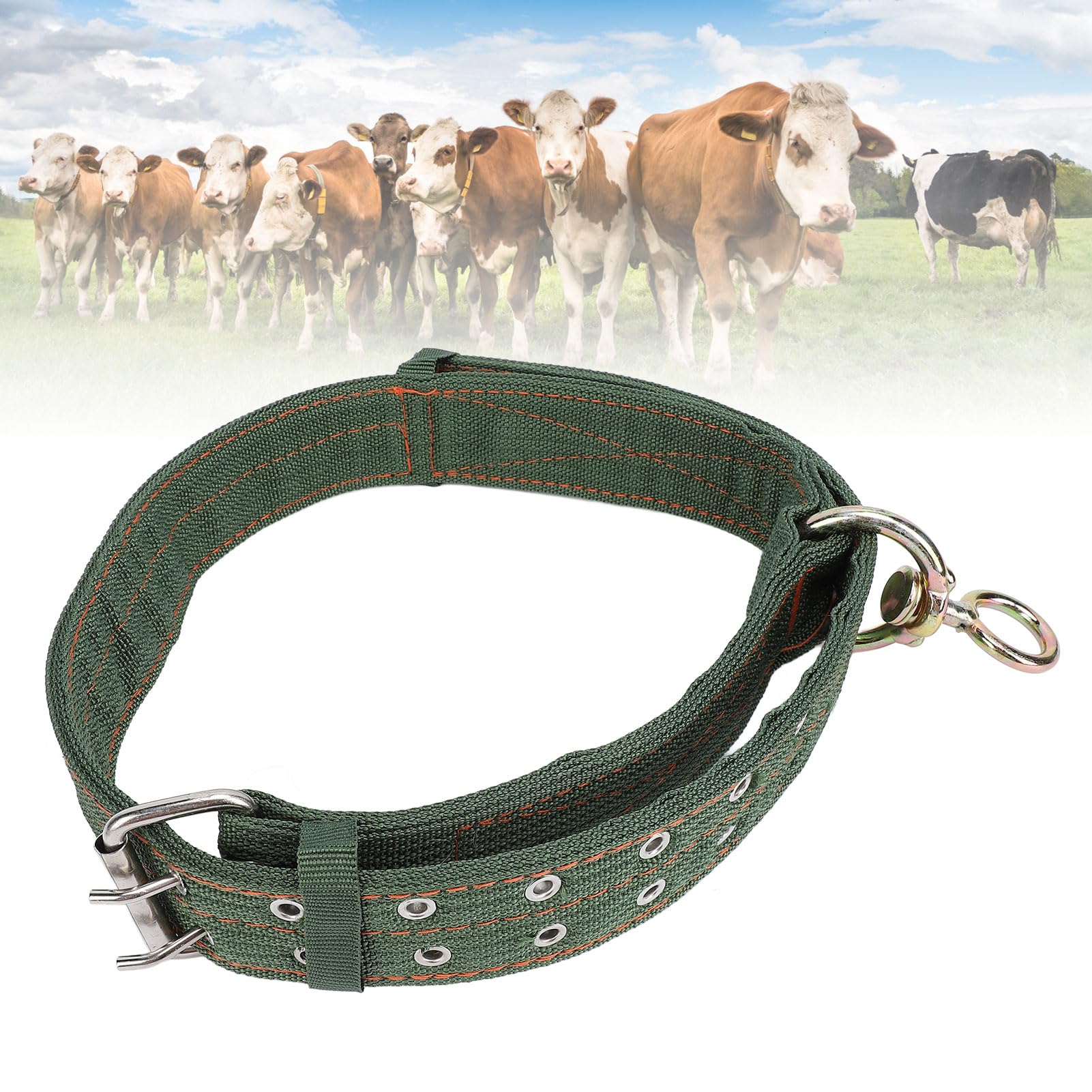 Collier pour bétail en nylon épais et robuste pour chevaux et grands chiens
