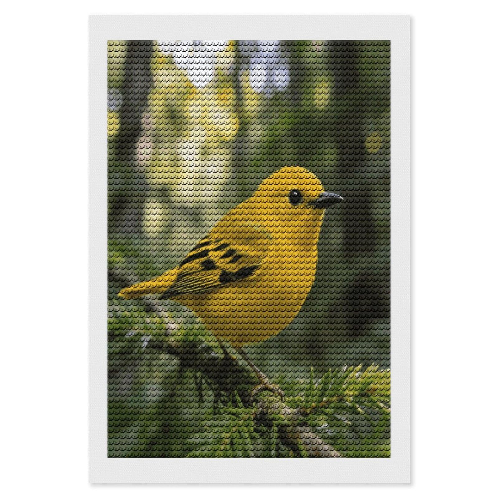 FekiLoot Warbler Diamond Art Kits for Adults Diamond Painting Kits for Beginners DIY Diamond Art Kits Round Full Drill Diamond Dot Gem Painting for Home Wall Decor Gift 8"x12"