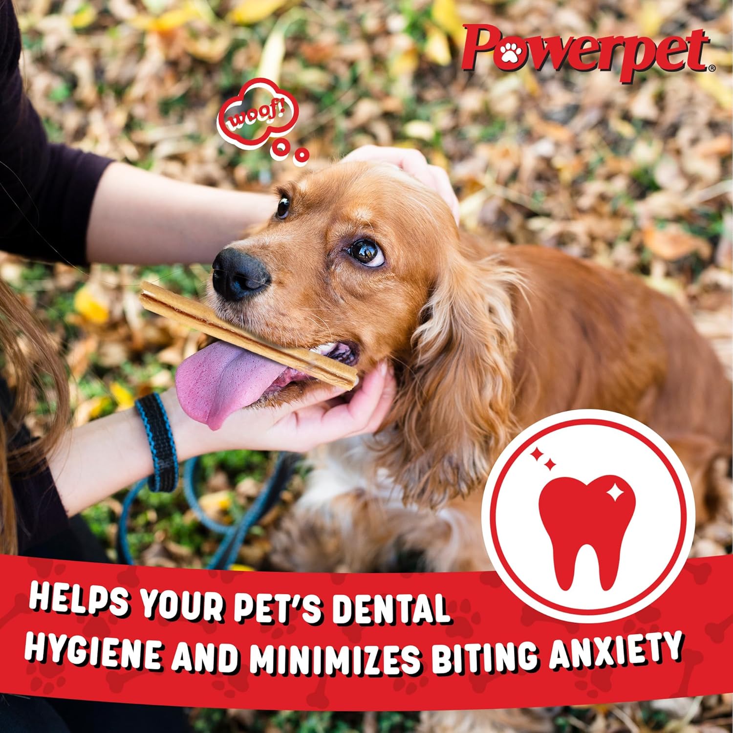 Powerpet 100% Natural Steer Stick - High Protein Bully Stick, Low Fat, Healthy Dog Treats, Long-Lasting Dog Chews, Easily Digestible, Cleans Teeth, Low Odor, for All Breeds & Sizes, 6" - 10 Count