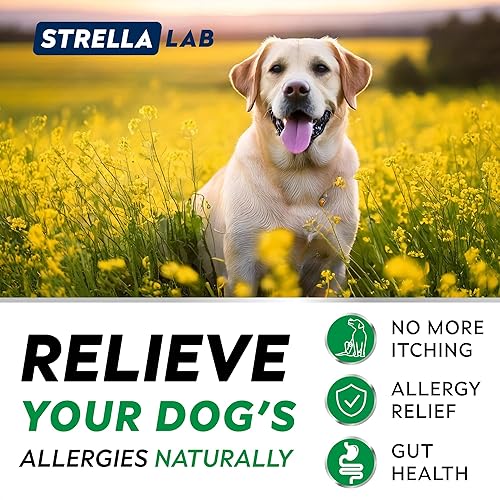 Miniatura 4 de StrellaLab Masticables para aliviar la alergia de los perros y antipicazón con Omega 3 ingredientes reales, sabor real! Suplemento inmunológico
