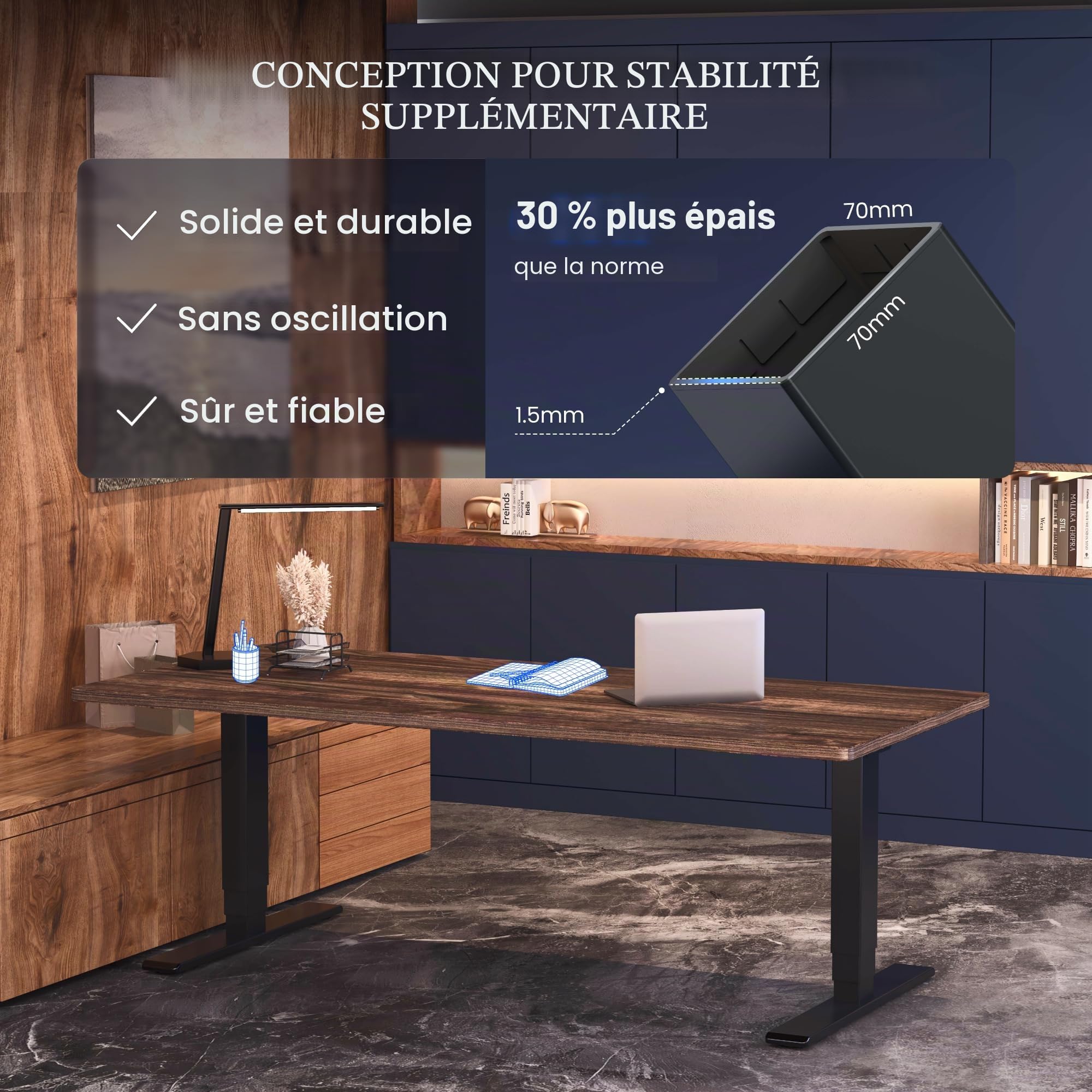 FlexiSpot Bureau Assis Debout Électrique 2 Moteurs, Charge 160kg, 3 Colonnes, Rappel de Sédentarité, Système Anti-collision, Panneau Mémoire, Cadre en Acier, Noir