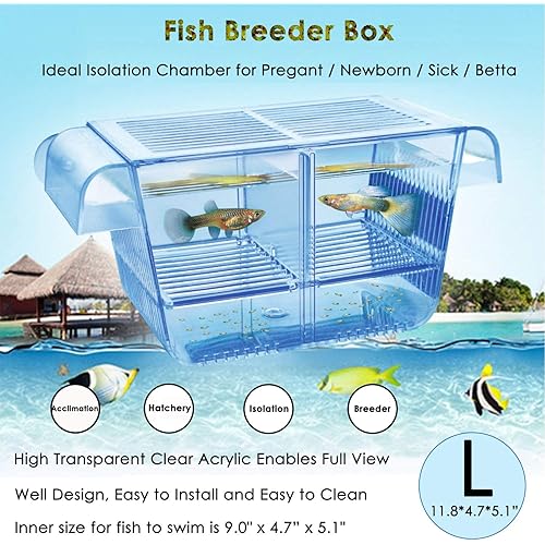 Fish Breeder Box Fish Hatchery Floating Fish Breeding Box with Removable Grating Perfect Fish Tank Divider for Agreesive Injured Pregnant Fishes