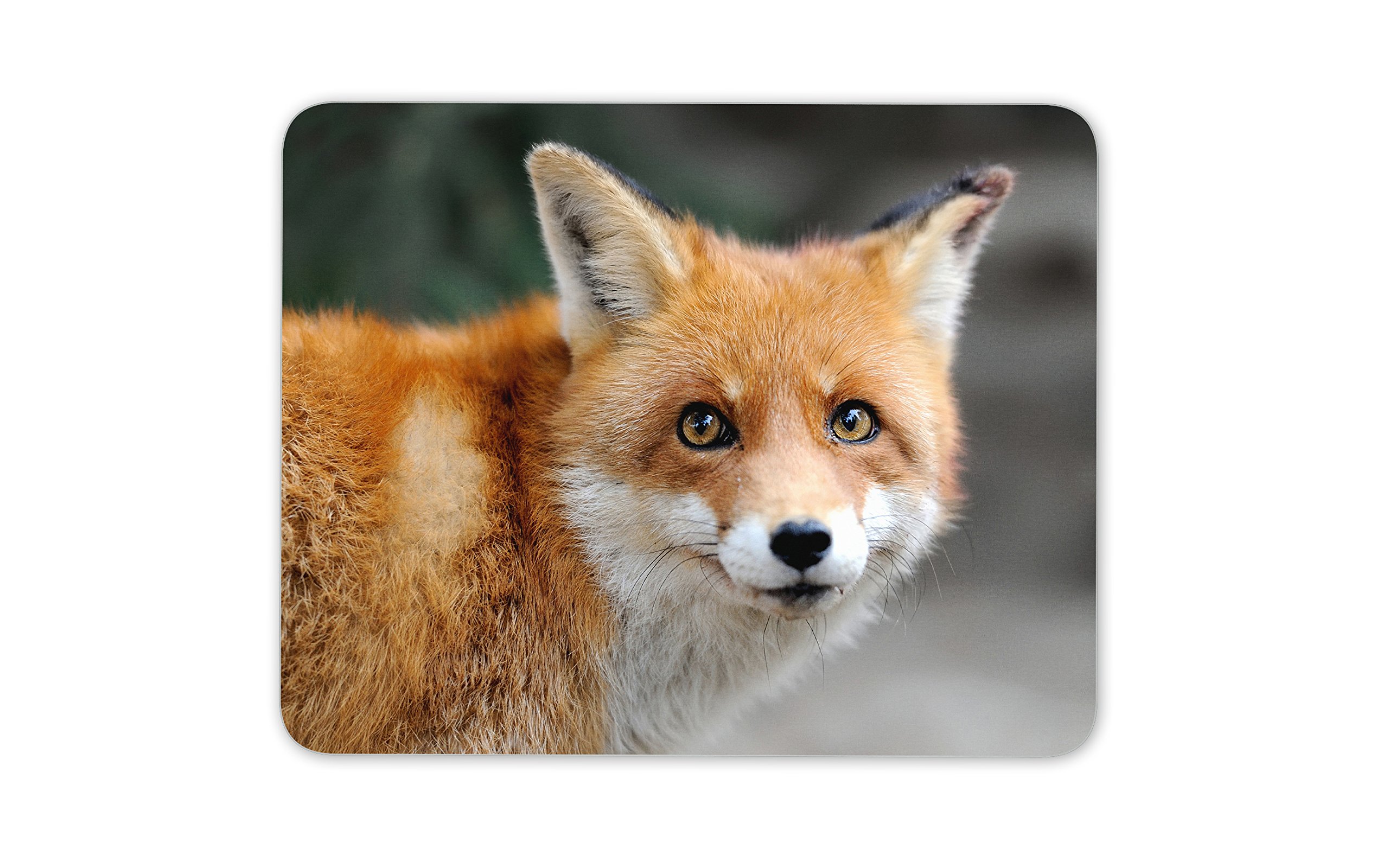 Beautiful Ginger Fox Mouse Mat Pad - Wild Animal Mum Fun PC Computer #8584