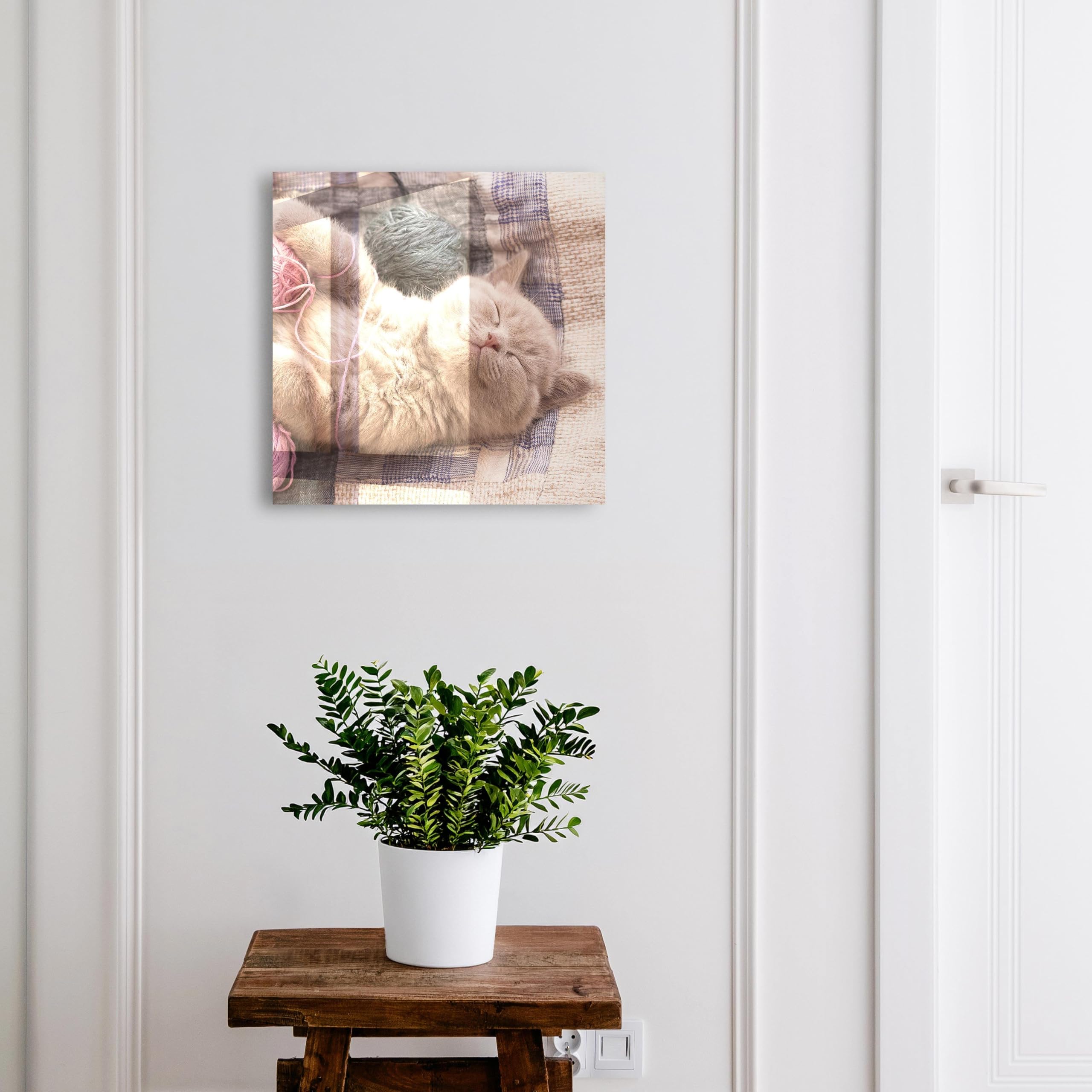 Tulup Armario de Llaves 30x30 cm | Blanco | Izquierda | Montaje en Pared | Gatito durmiendo | Organizador | 50 Ganchos | Frente Decorativo de Cristal | de Metal | Kit de Montaje Incluido