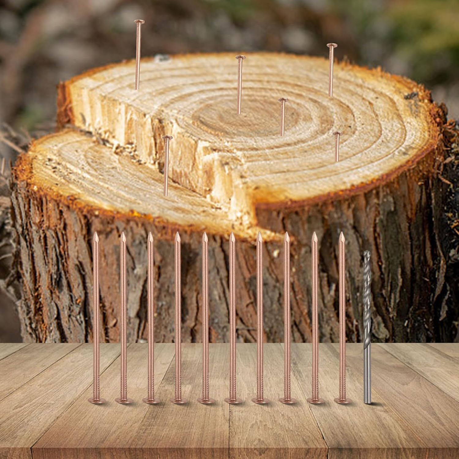 Copper Nails for Killing Trees, Pure Copper Tree Killers, 3.15 Inch Stump Destruction Spikes, Root Elimination Hardware, Garden Stump Removal Tool Kit with