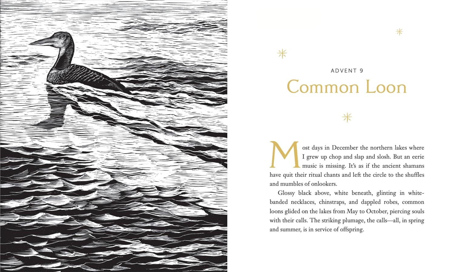 All Creation Waits ― Gift Edition: The Advent Mystery of New Beginnings (An illustrated Advent devotional with 25 woodcut animal portraits) - Image 6