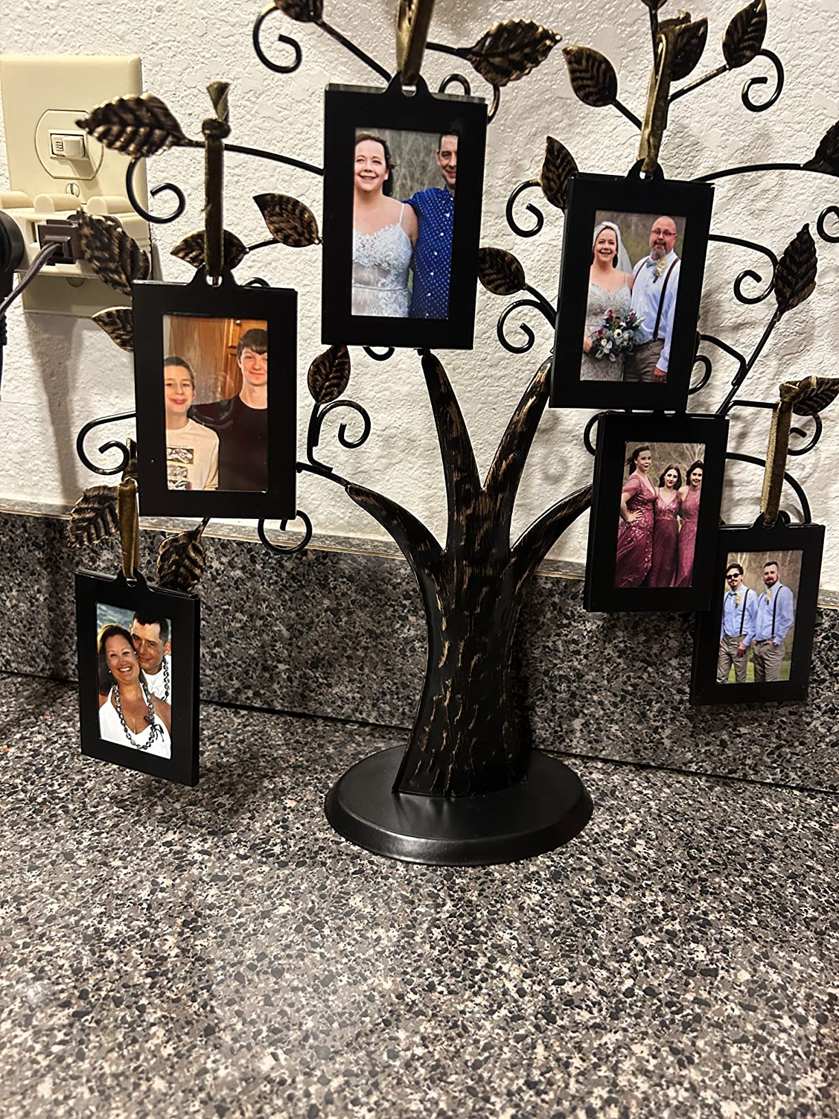 6/mo Finance Klikel Family Tree Picture Frame Stand With 6 Hanging