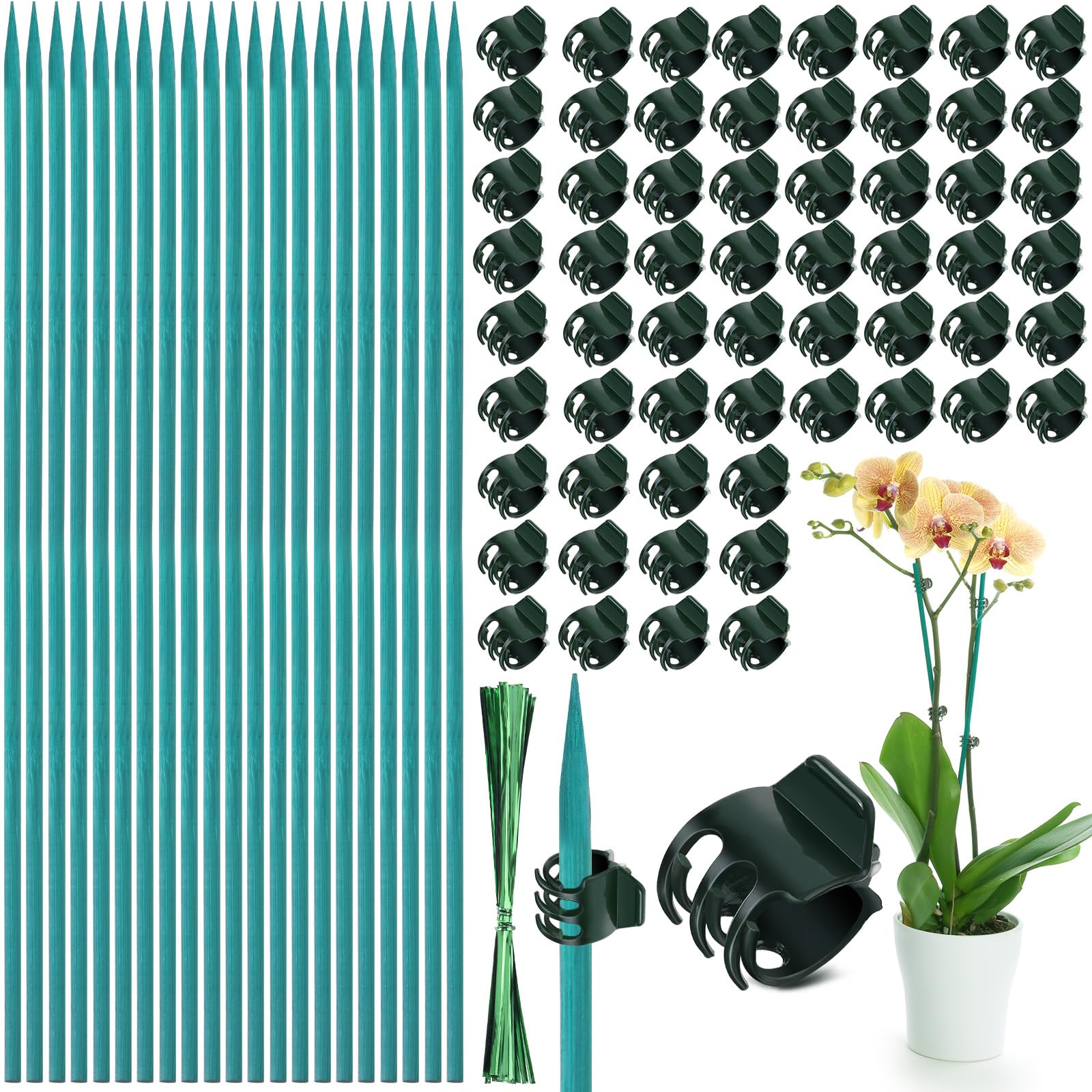 30 Pcs Plant Support Stakes Kit 15 Inch Bamboo Plant Stakes with 50 Pieces Orchid Clips Plastic Garden