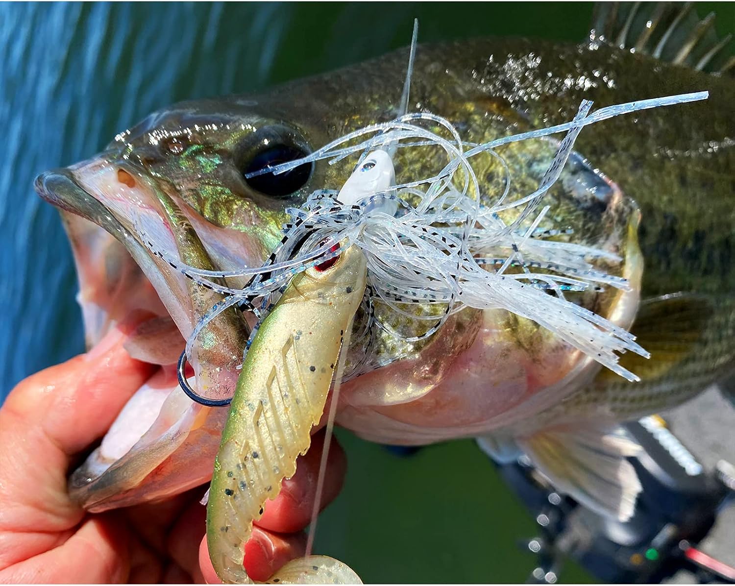 MadBite Swim Jig Fishing Lures, Heavy Brush Guard, Silicone Skirt, Sticky-Sharp Heavy-Wire Needle Point Hooks, Popular 1/2 oz Sizes, 5 pc Multi-Color Kits, Includes Storage Box, Clear & Muddy Water : Sports & Outdoors