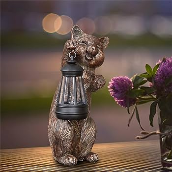 81k-cDpyn1L._AC_UF350,