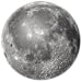 Elevation Moon