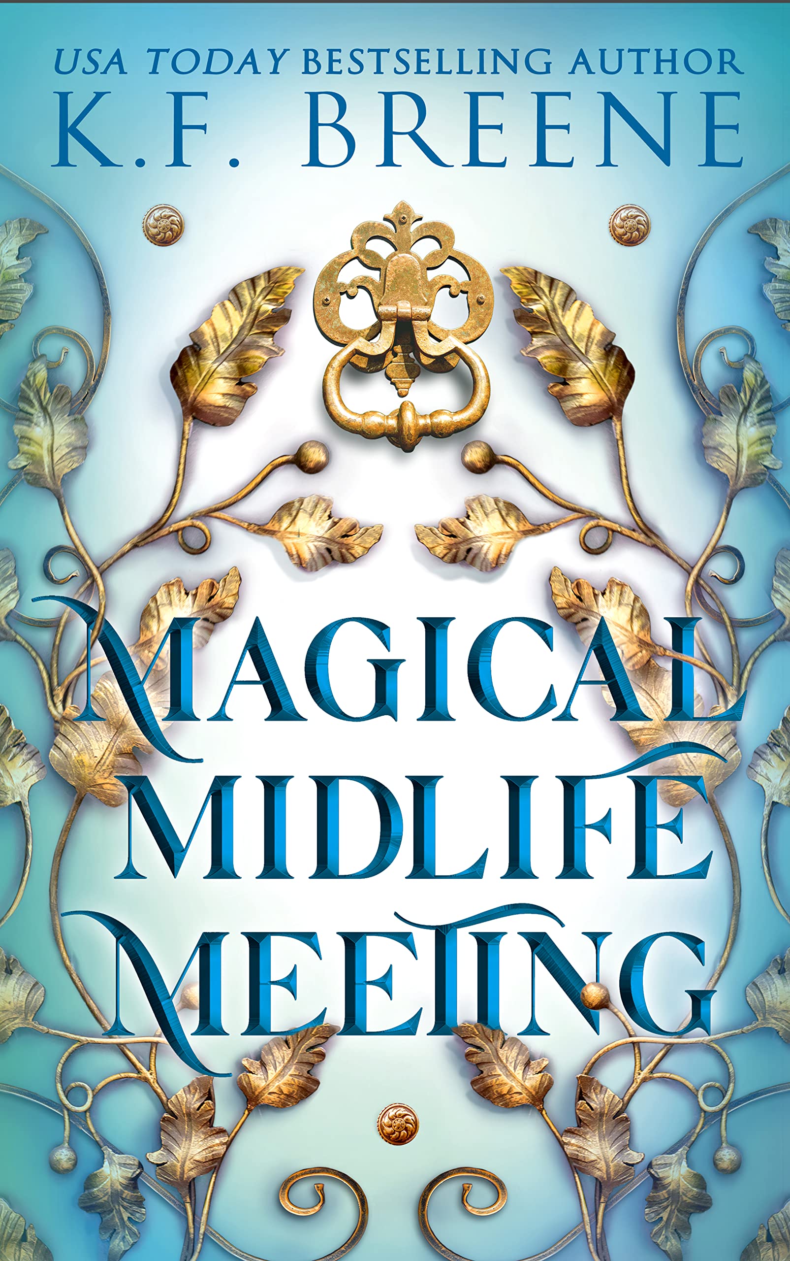 Book 5: MAGICAL MIDLIFE MEETING