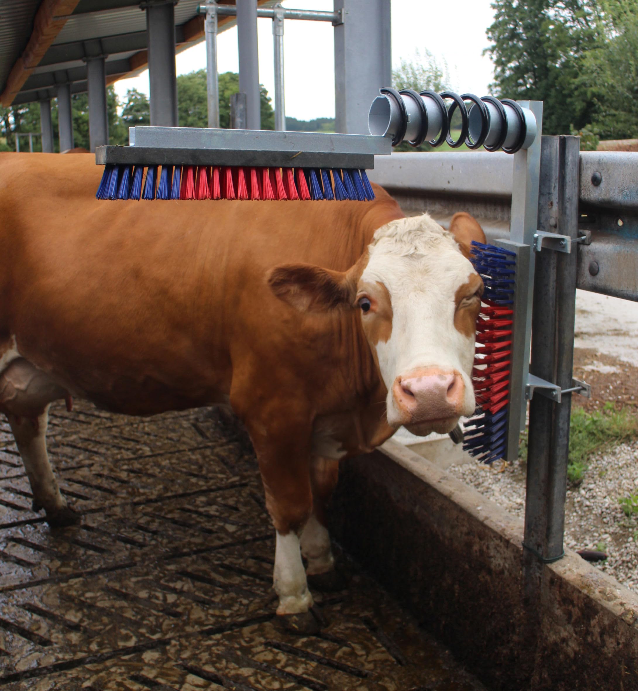 Viehbürste EuroFarm Kuhbürste 50 x 10 cm komplett mit Feder robuste Konstruktion
