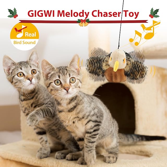 Foto 7 de 7 de Gigwi Juguetes interactivos para gatos de interior, juguete recargable activado por movimiento
