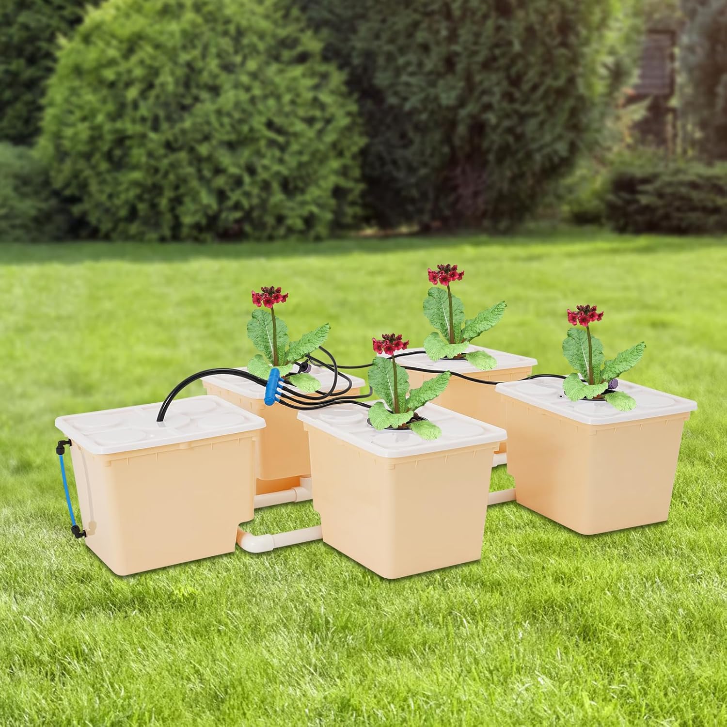 DWC Hydroponics Grow System with Top Drip Kit, Plant Buckets Kit, 3-Gallon Water Culture, Recirculating Drip Garden System with Multi-Purpose Multi-Purpose Air Hose, Air Pump, and Air Stone