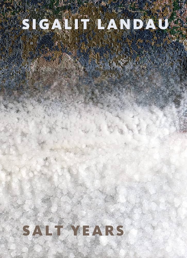 アート・デザイン・音楽 Sigalit Landau Salt Years Salt Years,' Explores Sigalit Landau's Lifetime Relationship