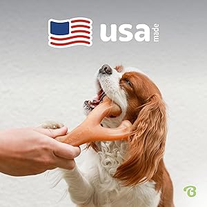 π₯ 10 Best Bones for Dogs 10 81k07Ibs9VL. AC SL300