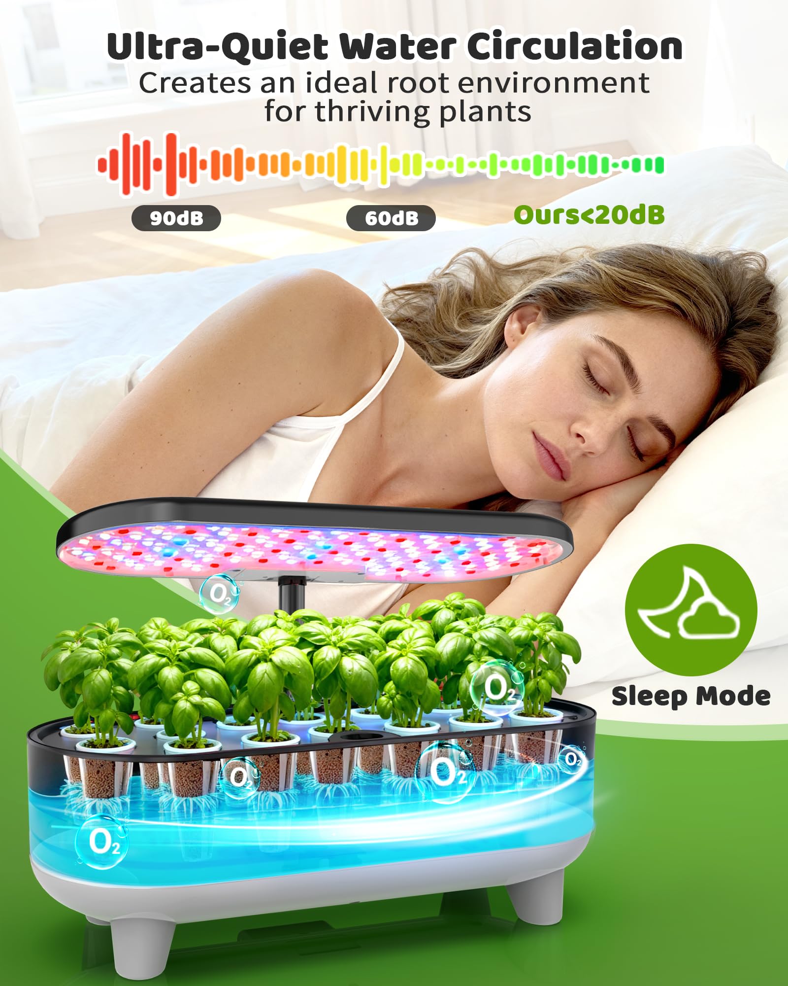 https://m.media-amazon.com/images/I/81k0BnFbiLL.jpg