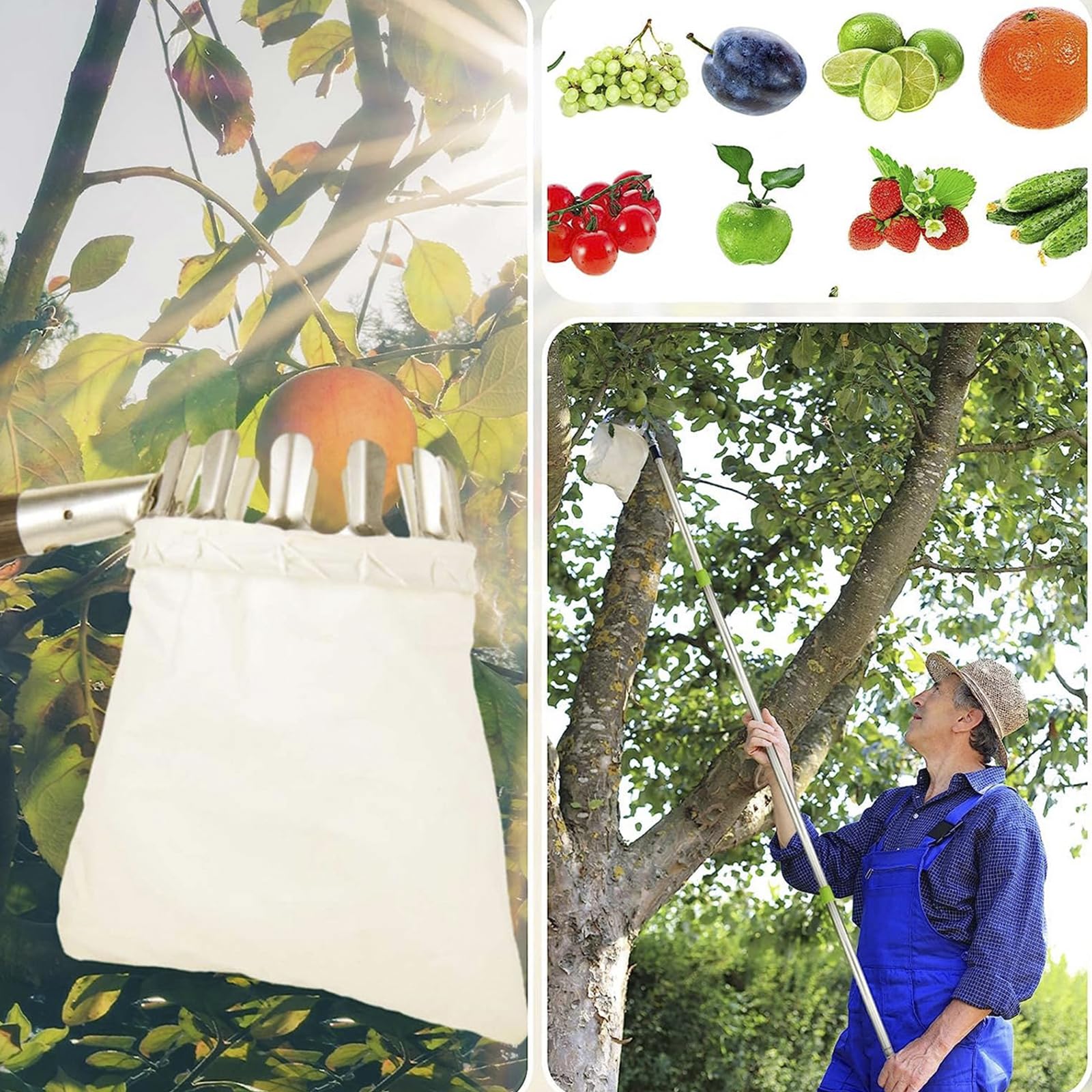 Raccogli Frutta,Raccoglitore Frutta Leggero con Asta di Estensione in Acciaio Inossidabile,Strumento per Raccogliere Frutta per Mela Pera Limone Avocado Arancia e più Frutta,1.6M/5.2FT