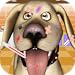 Vet's Office Story Animals Hospital Pet Doctor