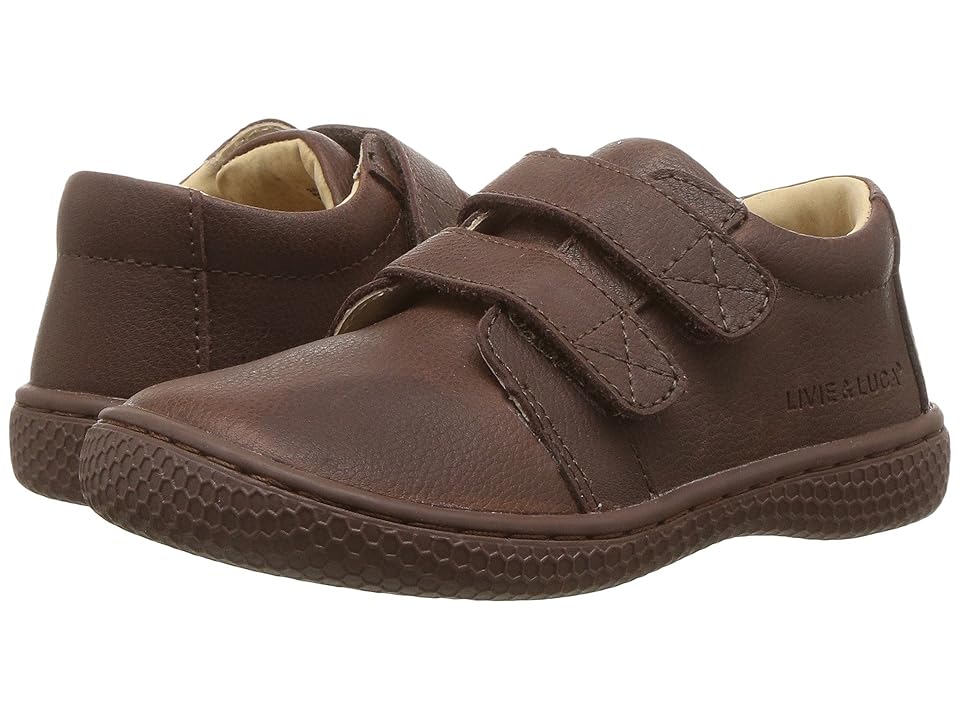 

Livie & Luca Hayes (Toddler/Little Kid) (Mocha) Boy's Shoes