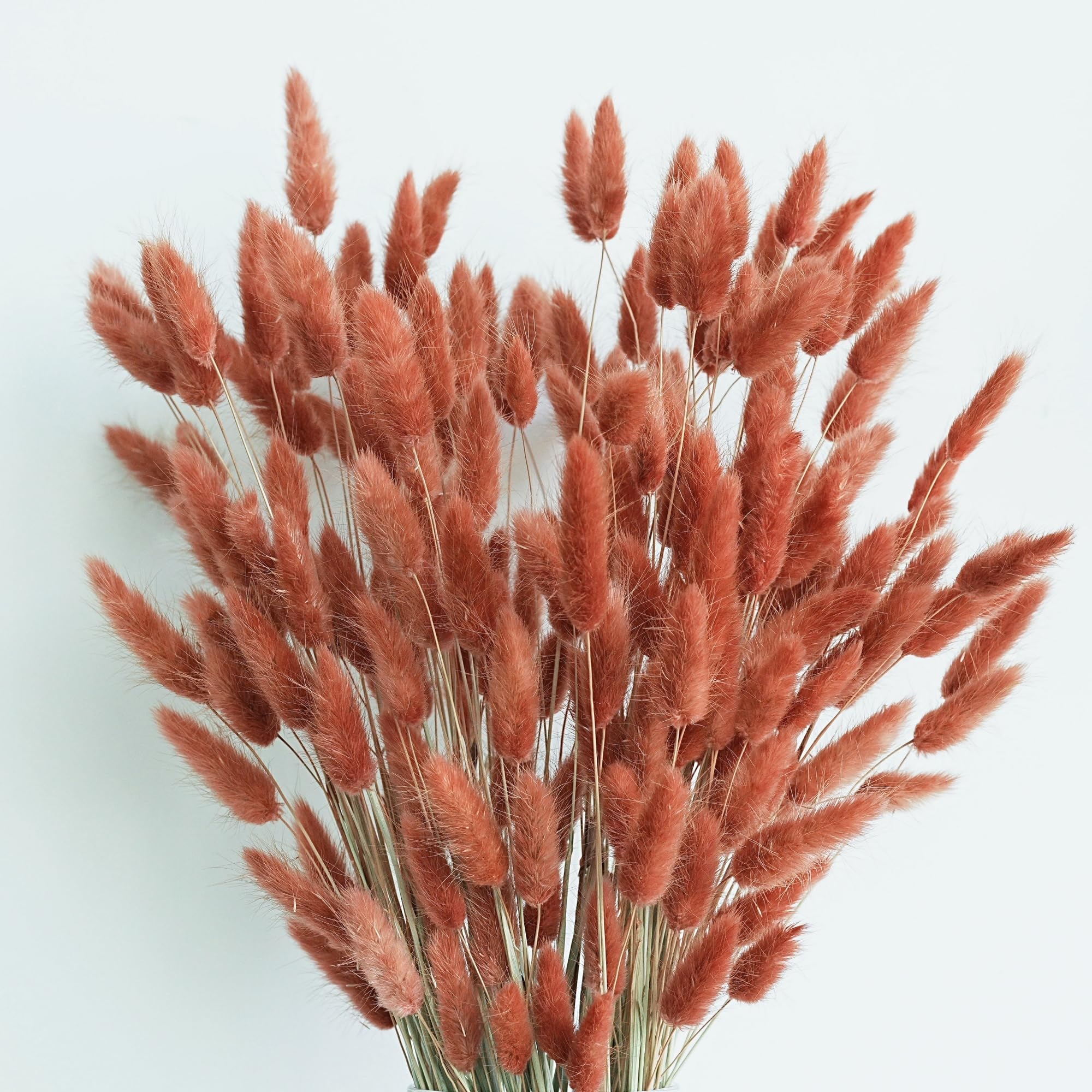 Photo 1 of 120 PCS Rust Orange Dried Pampas Grass Decor, 17-inch Pompas Floral, Dry Flowers for Decoration, Pampas Grass in all, Bunny Tails Dried Flowers for Boho Wedding Decor
