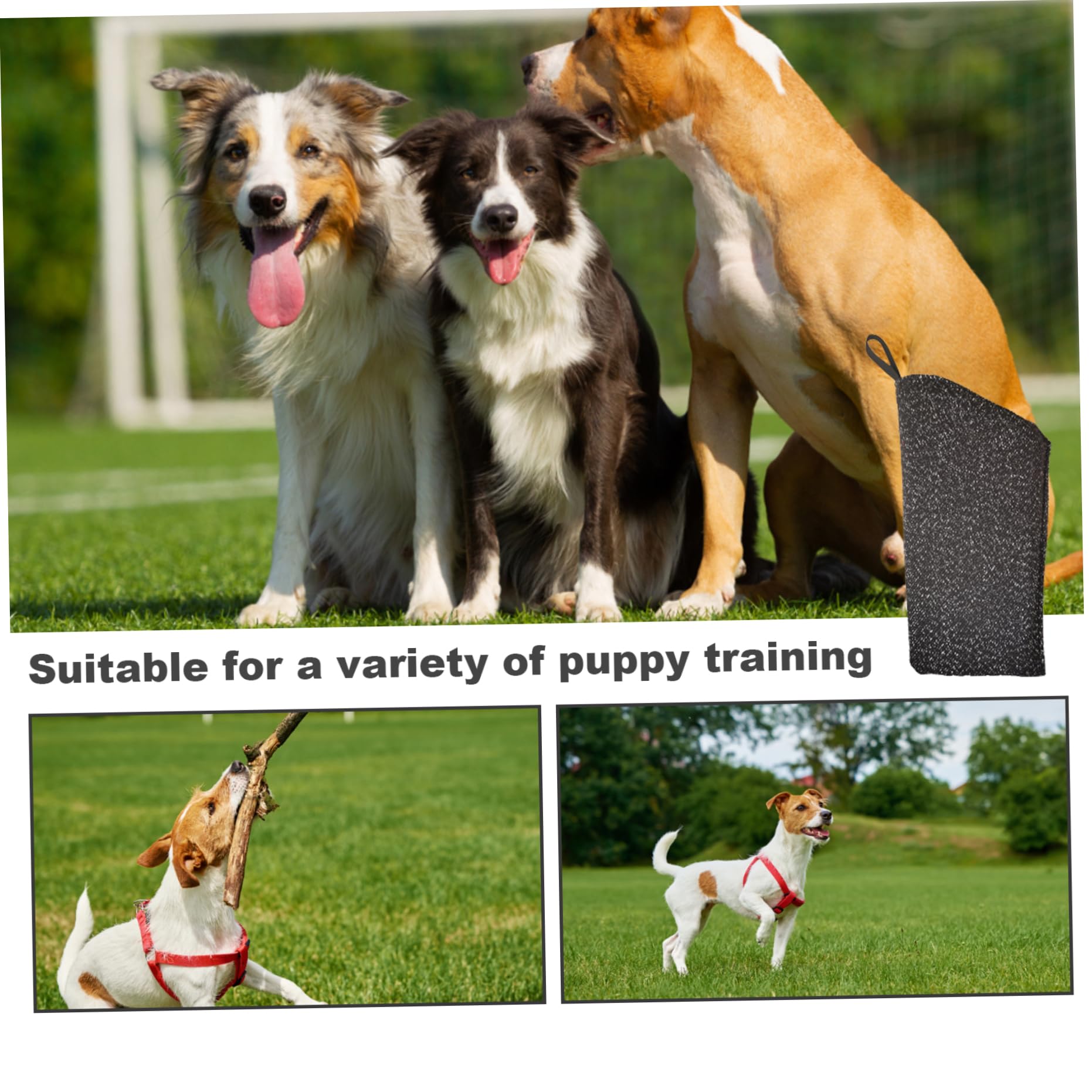 Manicotto per morsi per cani in nylon, protezione per braccio per addestramento professionale
