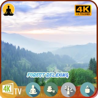 Tranquil Forest 🌿 Bliss: Relax, Sleep, Concentrate 🎵 for Tablets and TVs No Ads