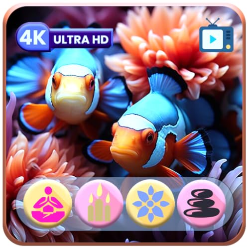 Aquarium Bliss Screensaver – Vibrant Coral Reef Journey with Tranquil