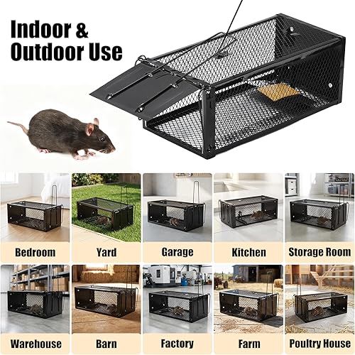 Miniatura 6 de Paquete de 2 trampas humanas para ratas de 12.5 x 5.5 x 4.5 pulgadas, trampas reutilizables para uso en interiores y exteriores, captura en vivo sin
