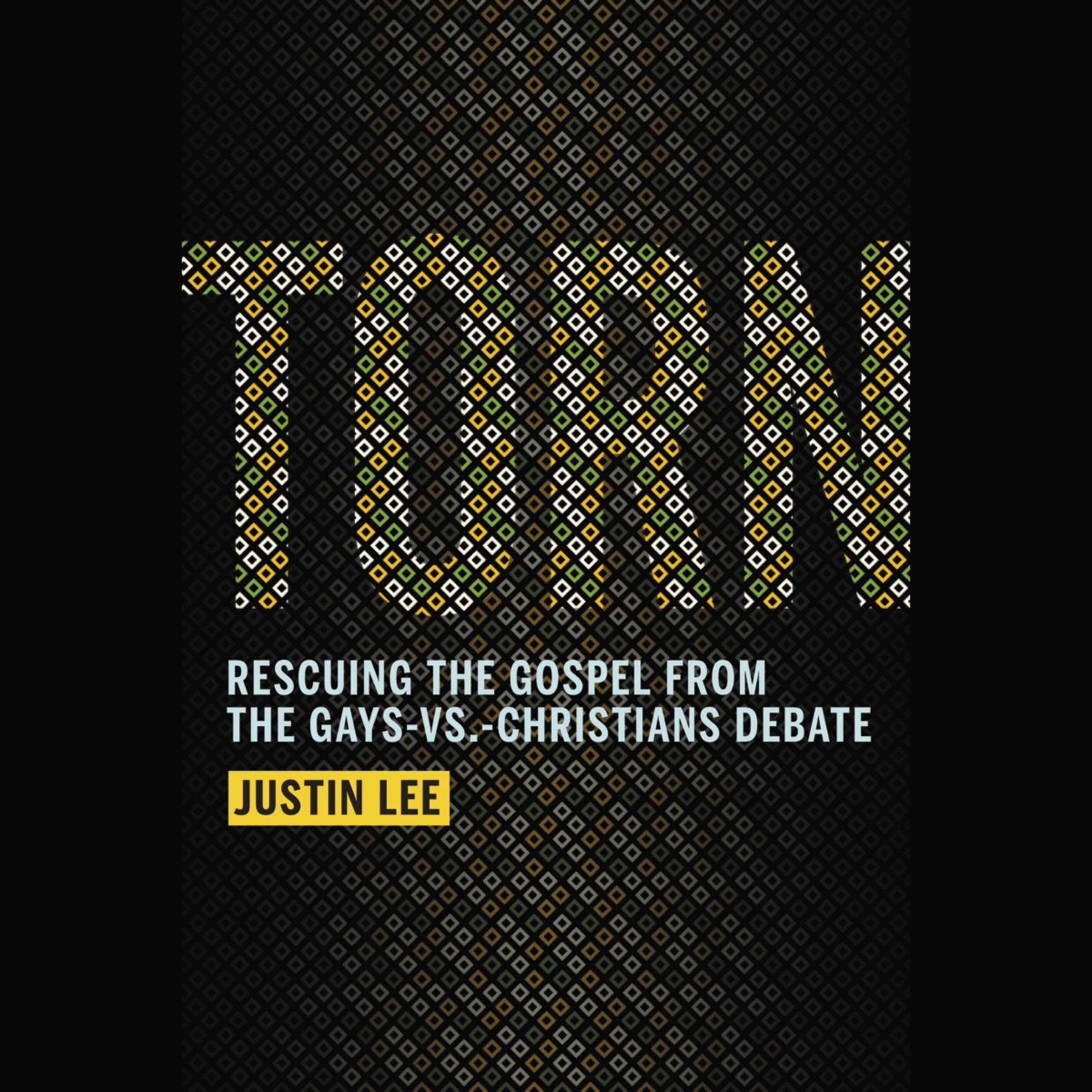 Cover art for Torn