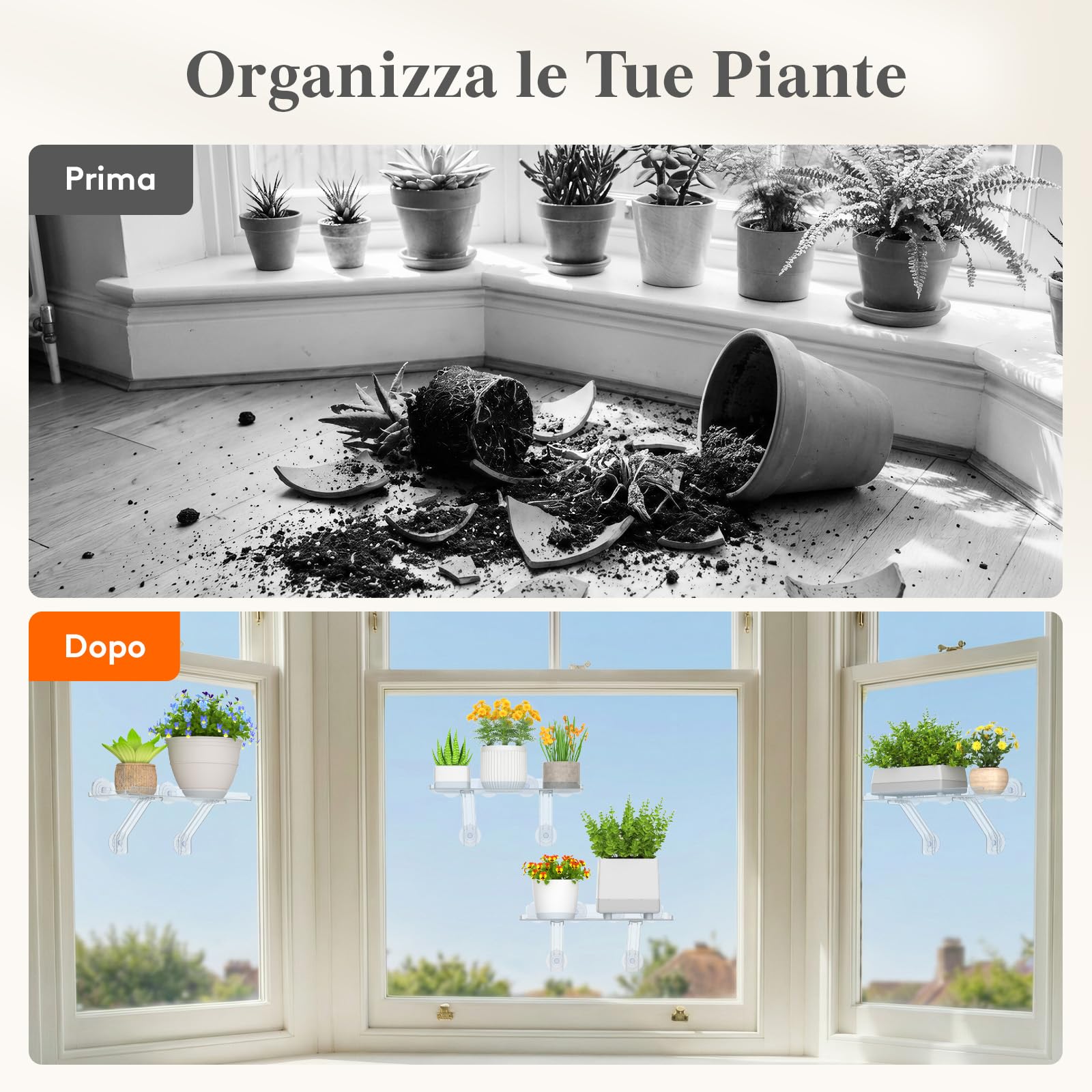 Lifewit Set di 2 Scaffale per piante da davanzale Sistema di scaffali in acrilico resistente con ventose Scaffale da interno per piante grasse e miniaturizzate da davanzale