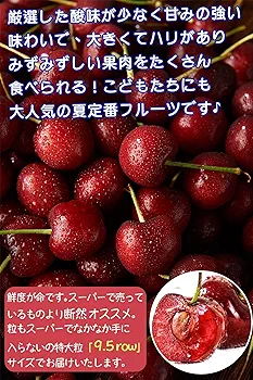 みっちゃんアメリカンチェリー9.5w8kg Amazon.co.jp: アメリカン