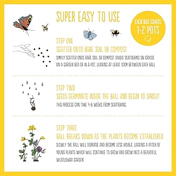 SEEDBALL Bee Mix Wildflower Seed Bombs (Pack Of 3, 6 Balls Per Box) | Eco Friendly British Wild Flower Seed Mix For Bees, Birds & Garden Wildlife