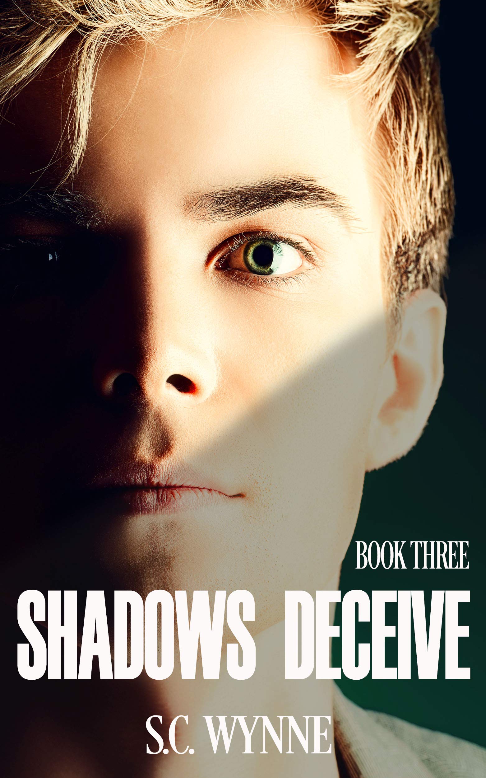 Shadows Deceive: Psychic Detective Mysteries (Psychic Detective Series Book 3)