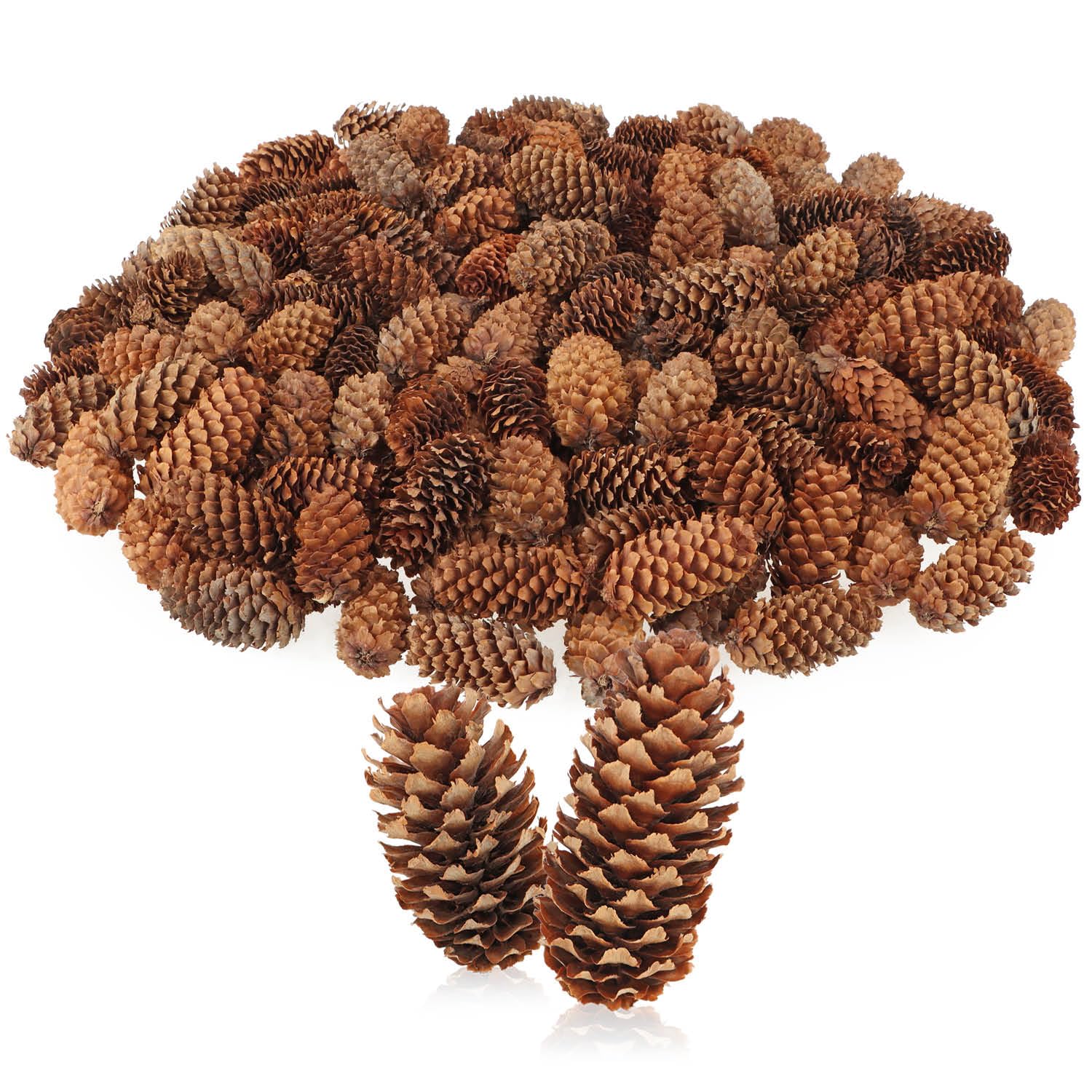 30 Pigne Decorative Con Punta Bianca - Per Natale E Autunno - Foto 7