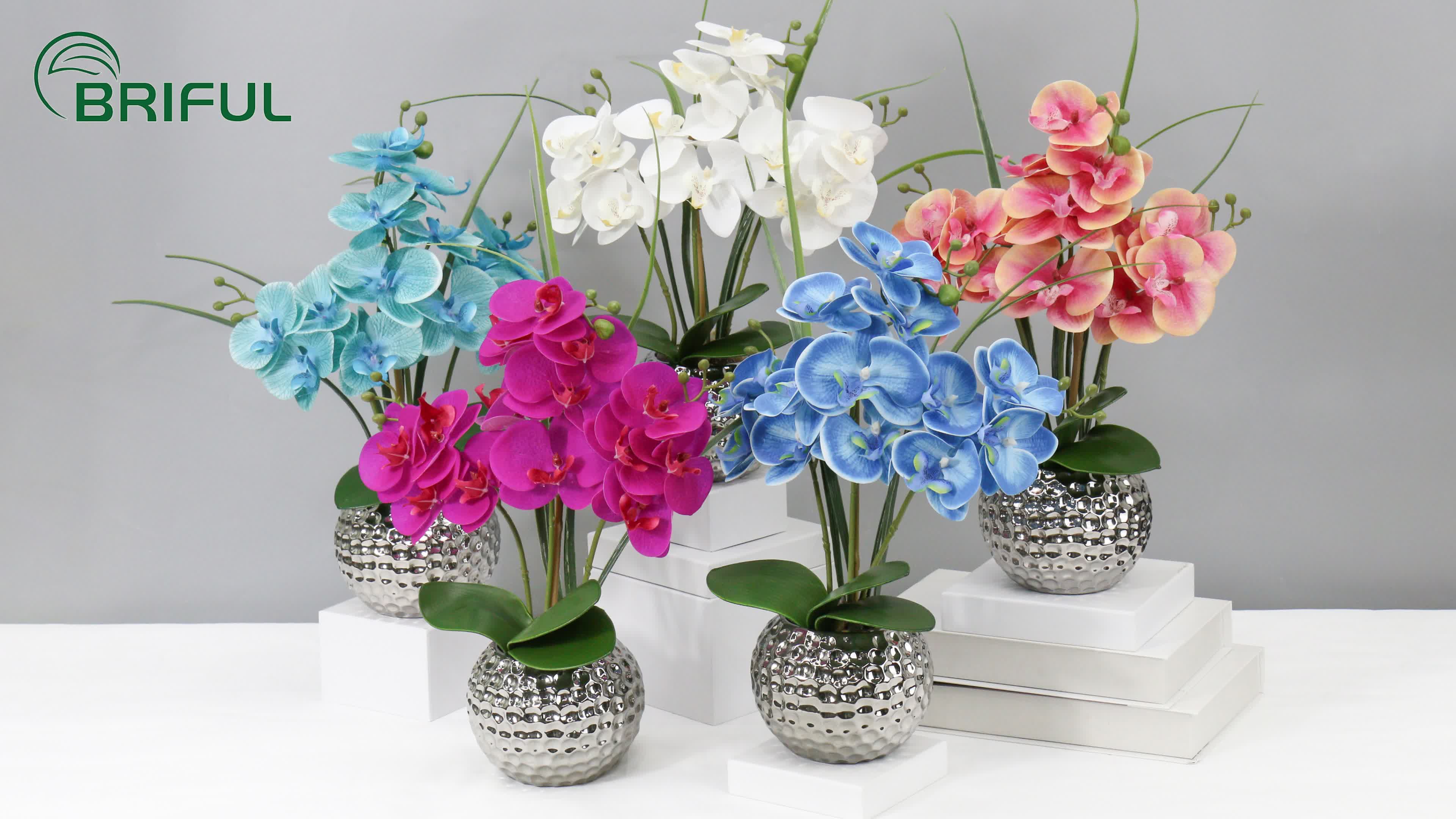 2 Stks 21,6 Inch Kunstmatige Orchidee, 15 Hoofden Real Touch Phalaenopsis Bloemen Stengels Planten voor Thuis Tafeldecoratie, Bruids Bruiloft Banket en Office Festival Gift