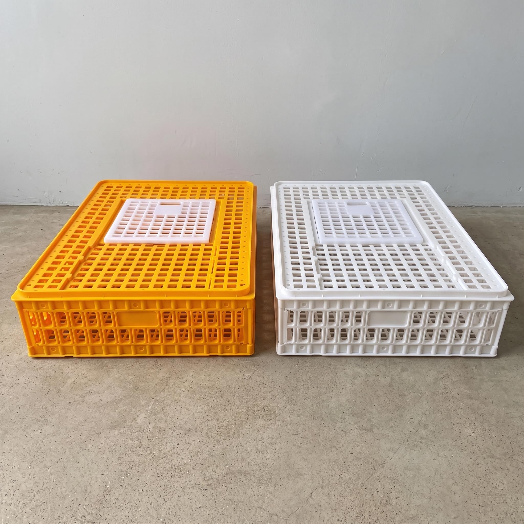 Transportín Plástico Anti-Caída y Anti-Presión para Gallinas, Conejos, s y Codornices, Blanco