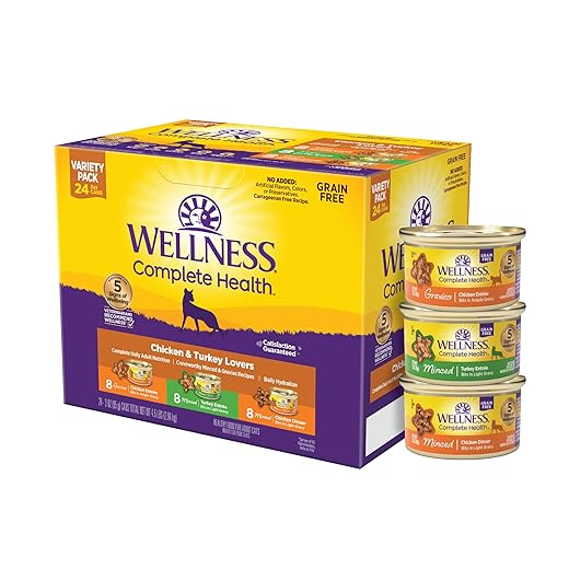 Wellness Complete Health Gravy & Minced Adult Wet Cat Food, Natural, Protein-Rich, Grain-Free, 3 Ounce, 24 Pack, (Chicken & Turkey Lovers Variety Pack)