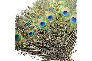 Piokio Peacock Cake Toppers