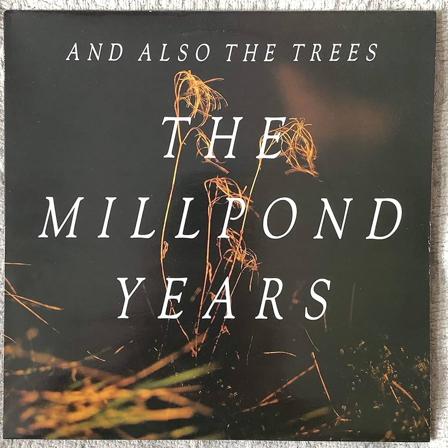 the millpond years LP: AND ALSO THE TREES: Amazon.es: CD y vinilos}