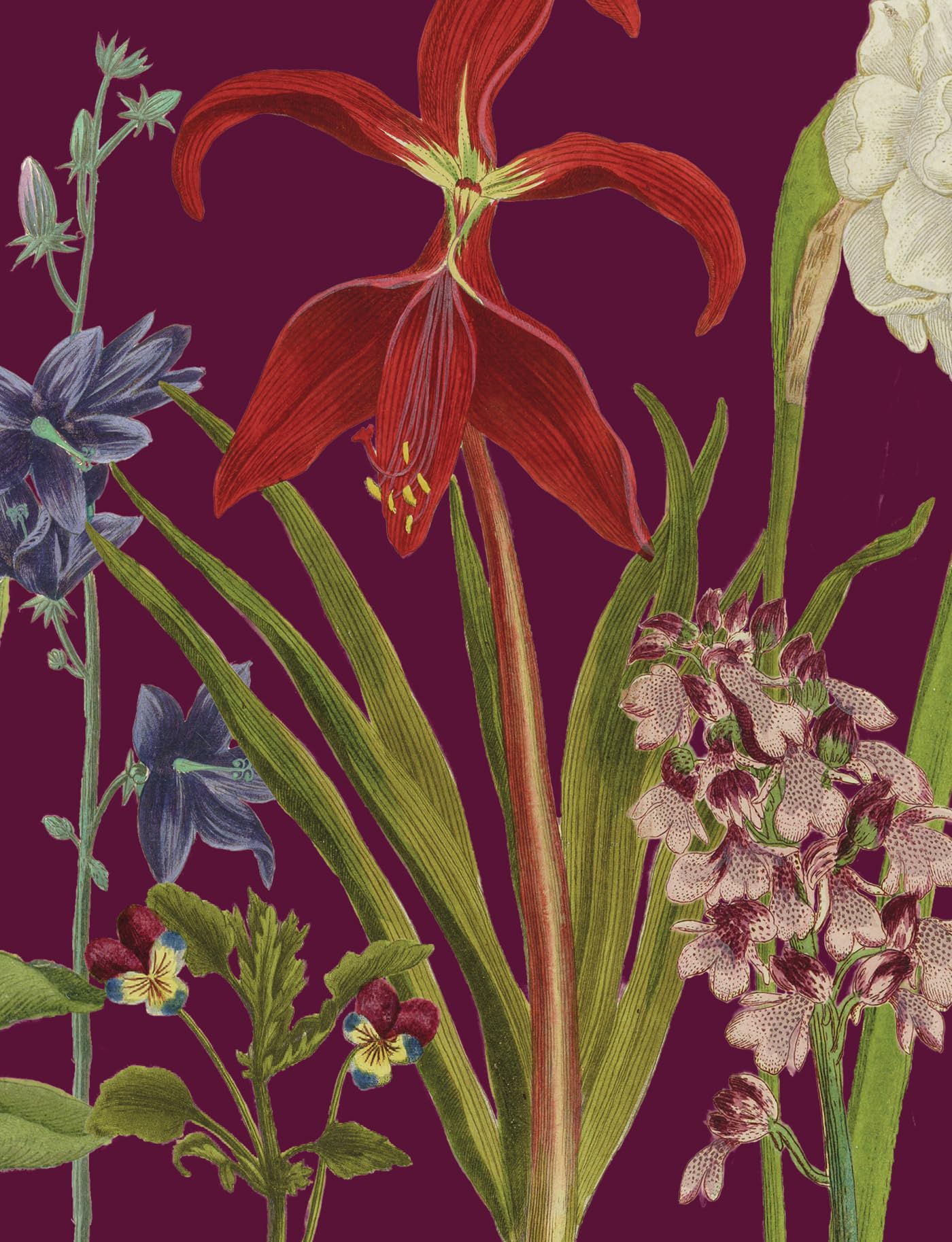 Petit carnet Jardin