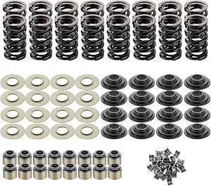 Dual Valve Spring Kit with Retainers for LS Engines (Steel, Platinum Coating, 0.660" Lift)