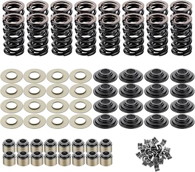 LS .660" Dual Valve Spring Platinum Kit with Retainers Fit for 15 Degree LS Heads LS1 LS2 LS3 LS4 LS6 L76 L92 L99 LQ4 LQ9 L33 LSA 4.8L 5.3L 6.0L 6.2L SK001 Steel