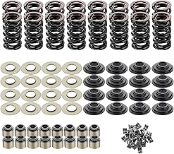 LS .660" Dual Valve Spring Platinum Kit with Retainers Fit for 15 Degree LS Heads LS1 LS2 LS3 LS4 LS6 L76 L92 L99 LQ4 LQ9 L33 LSA 4.8L 5.3L 6.0L 6.2L SK001 (Steel)